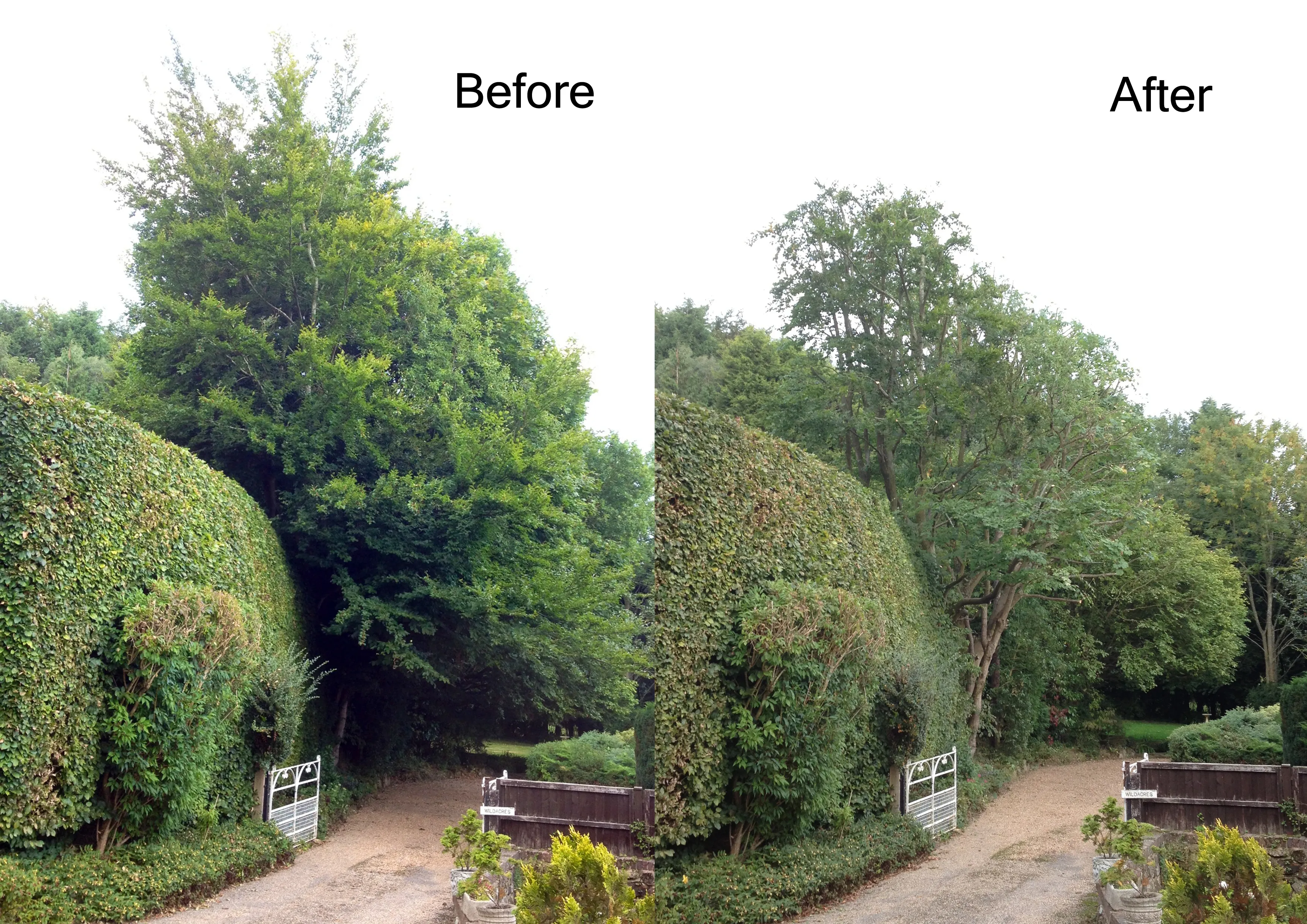 Before and after - houseside clearance